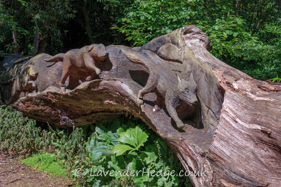 Carvings on fallen tree trunk